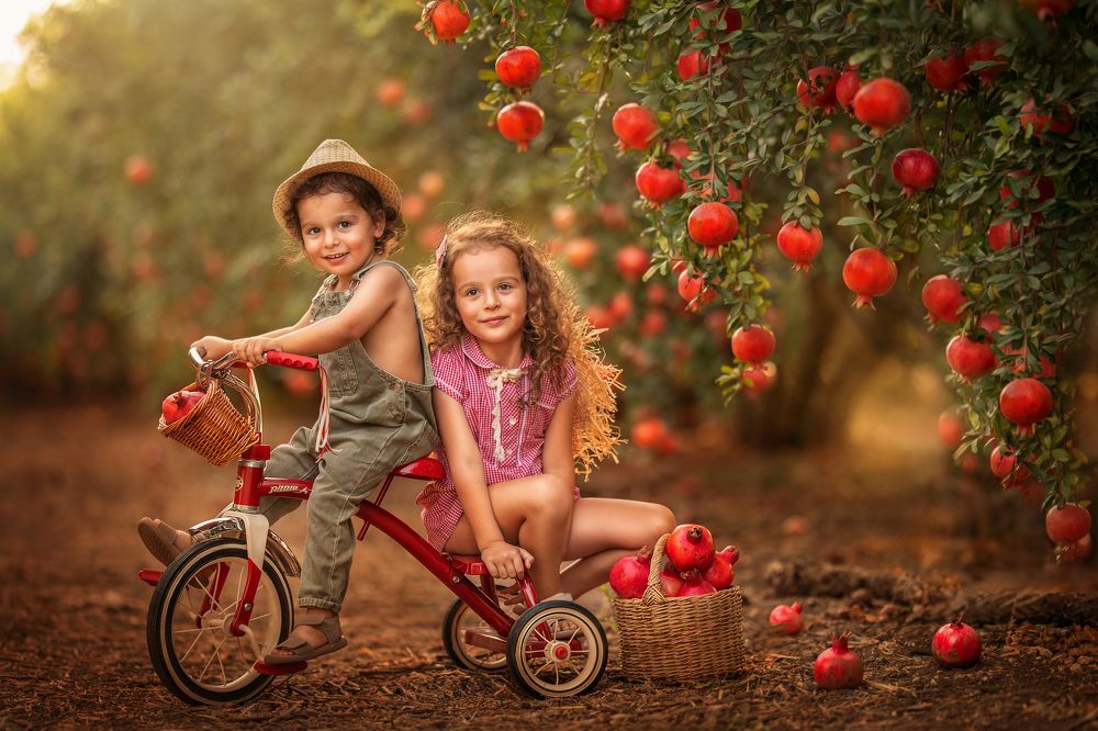 Photograph by Hamutal Avioz