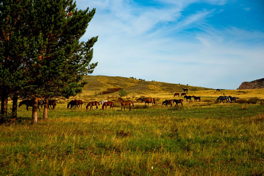 Photograph by Елена Прохорова