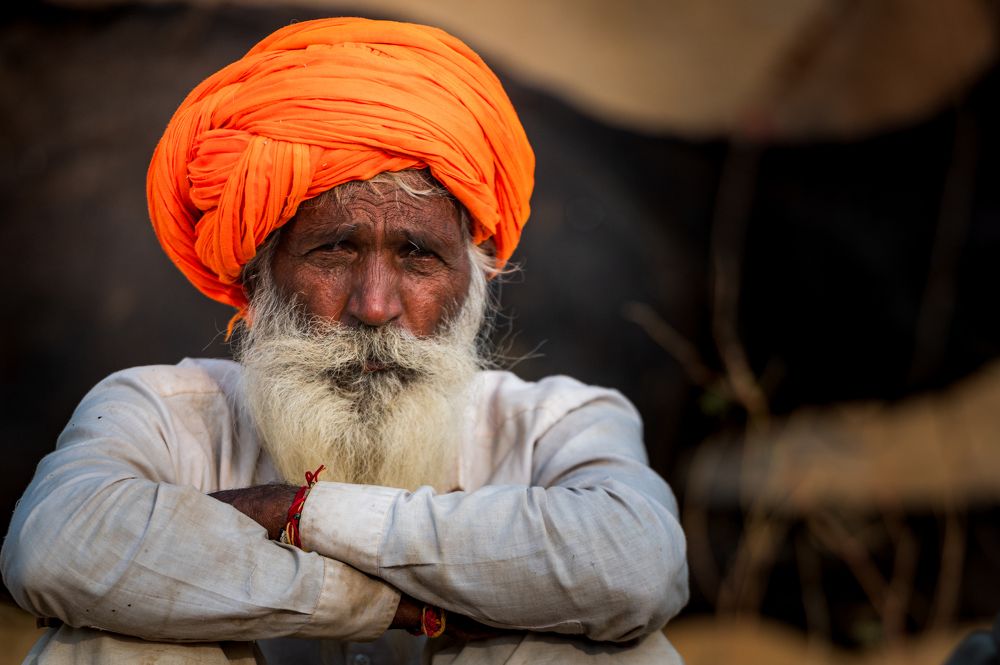 Фотография автора Kirtesh Mahant