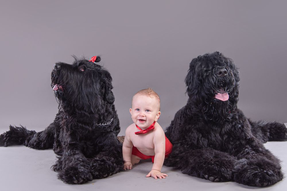 Photograph by наталья залогина