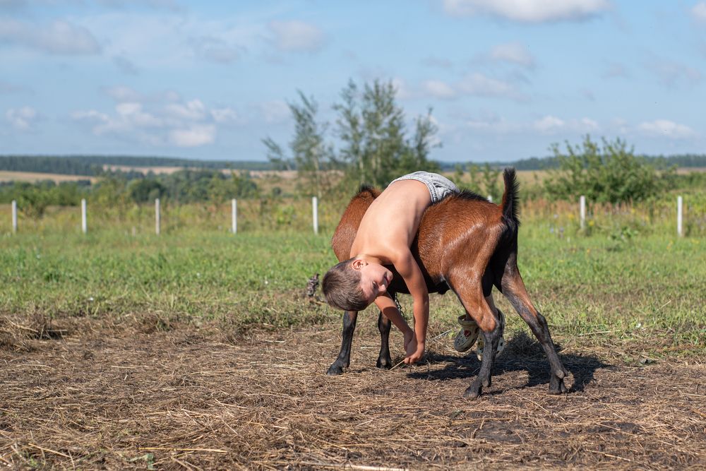 Photograph by наталья залогина