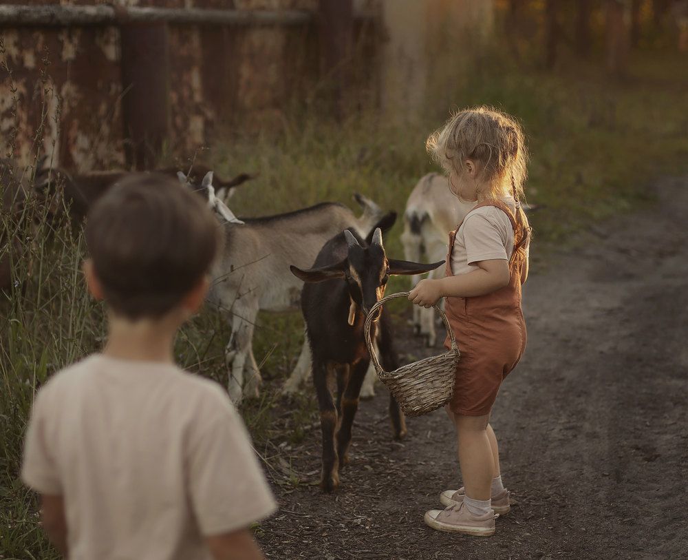 Photograph by Ирина Столбовая