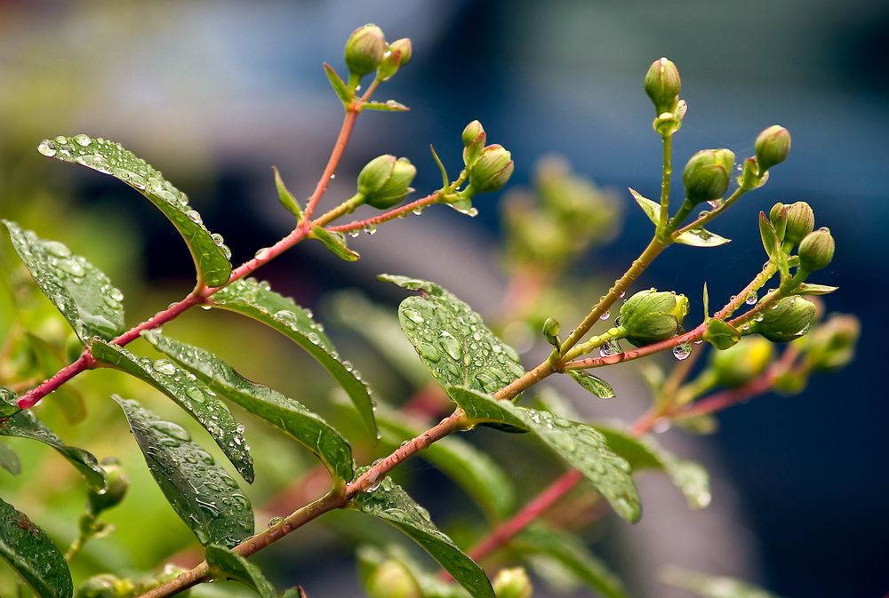 Photograph by Agita Leimane