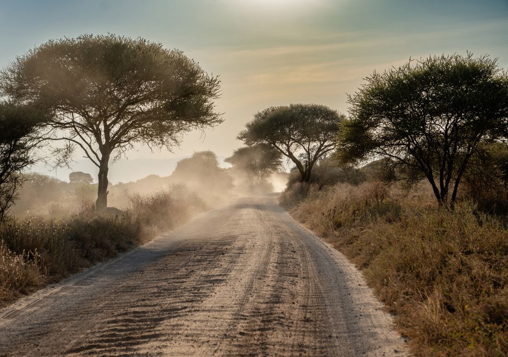 Африка сафари