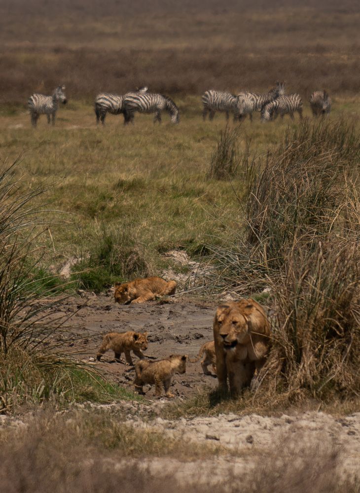 Фотография автора Оксана