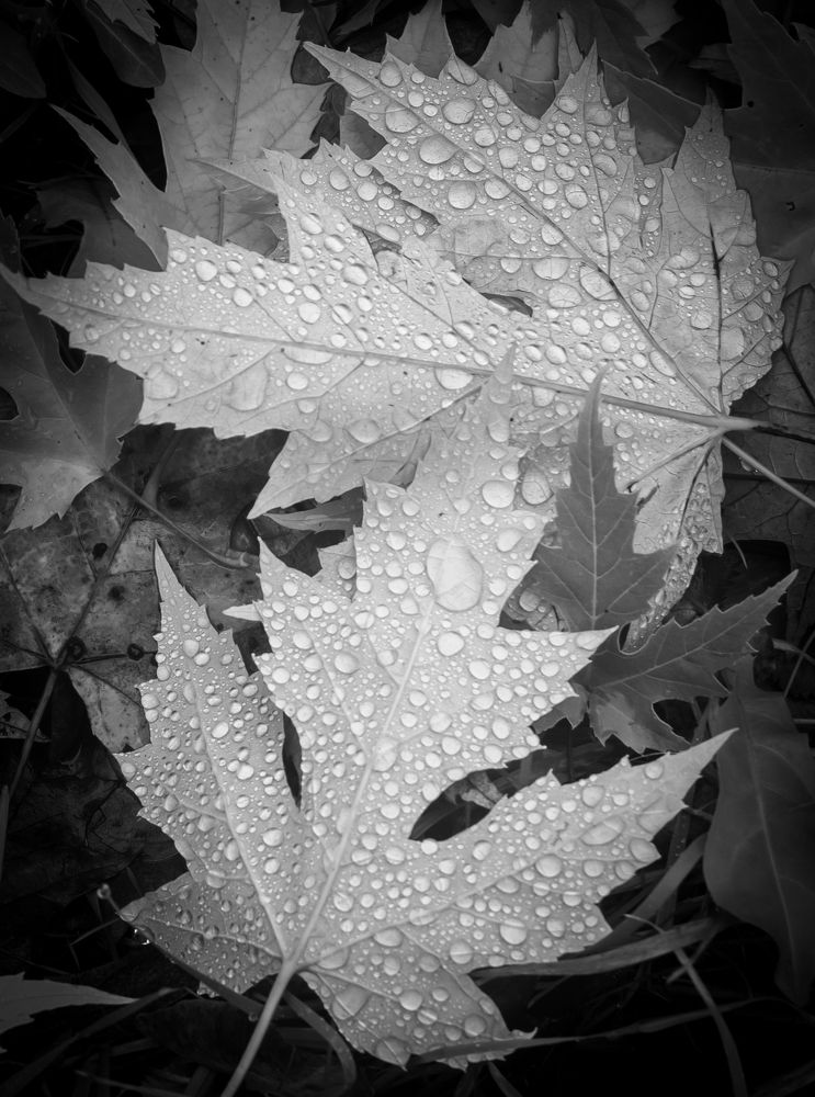 Photograph by Agita Leimane