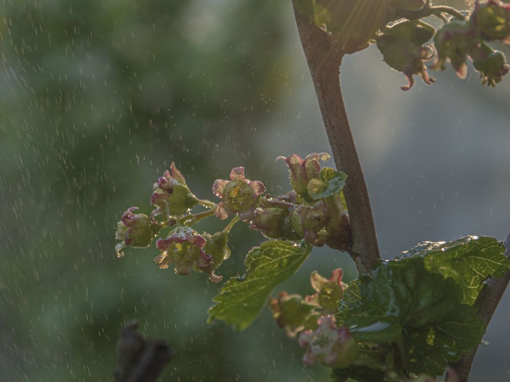 Photograph by Надежда Михайлина