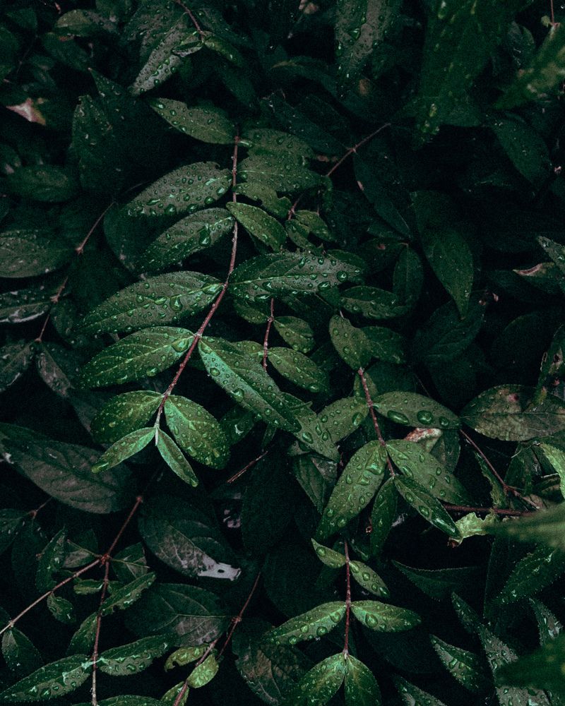 Photograph by Оксана Якименко