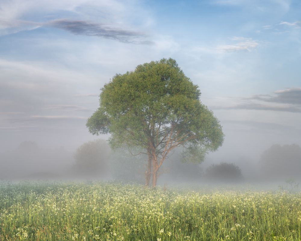 Photograph by Алексей Турчин