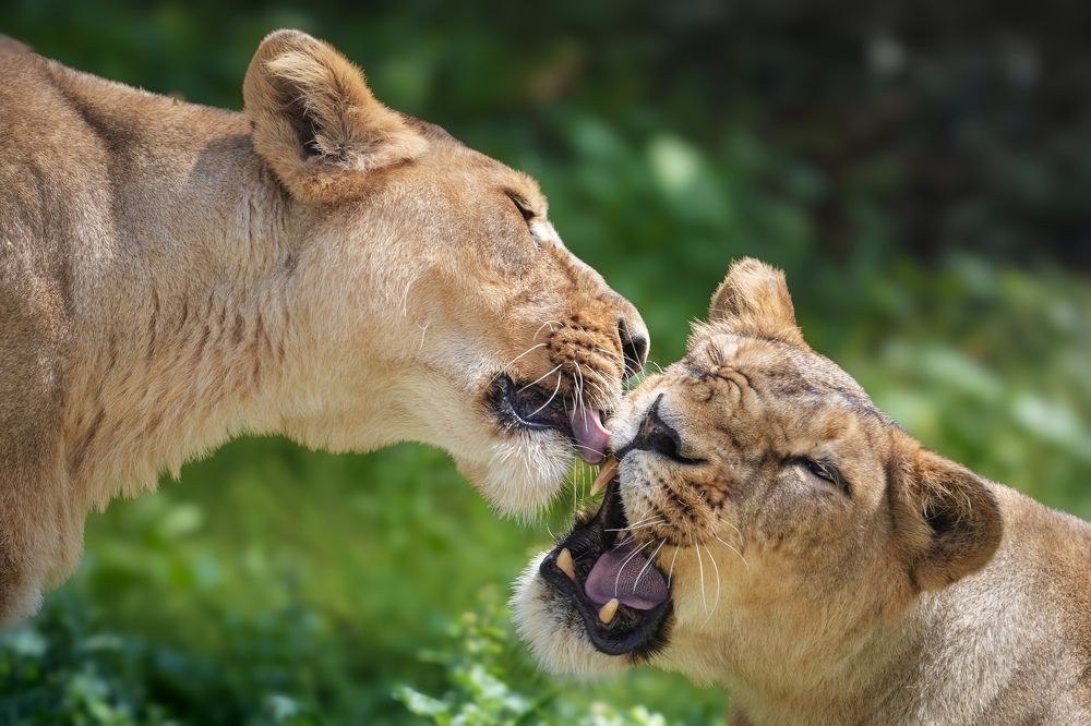 Photograph by Nitin Srivastava