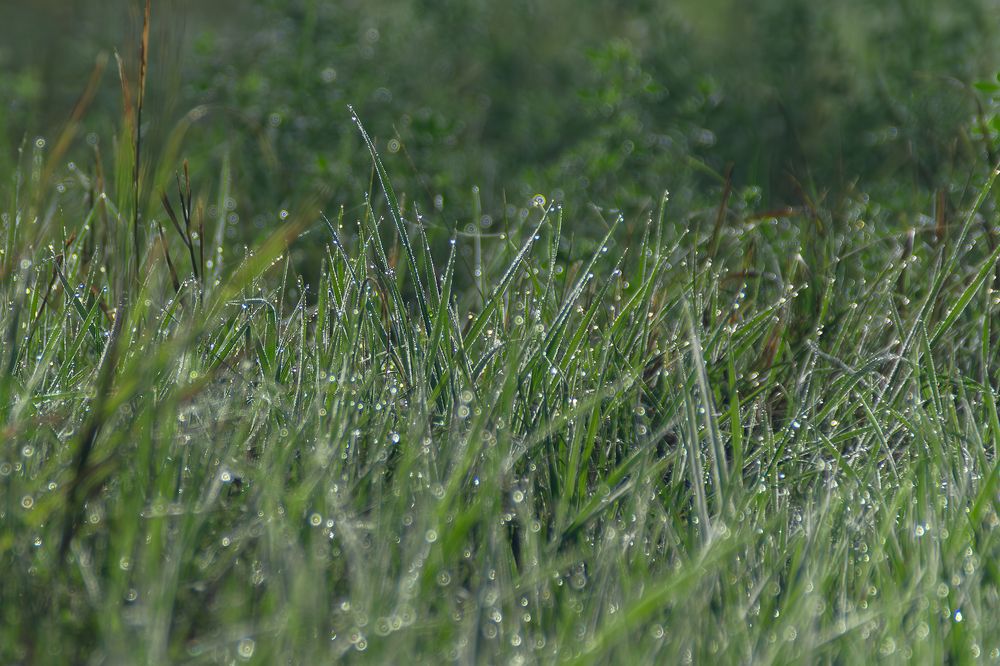 Фотография автора Михаил Бушенёв
