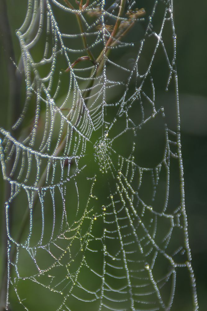 Фотография автора Михаил Бушенёв