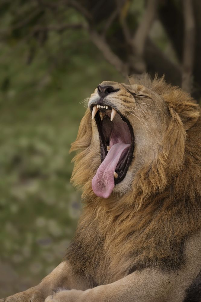 Photograph by Nitin Srivastava