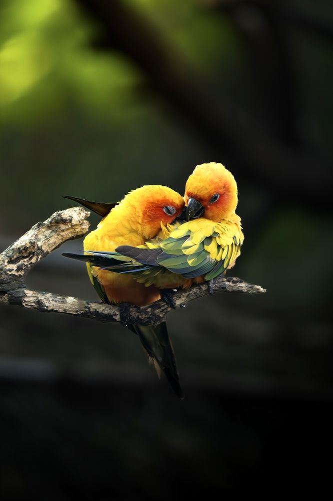 Photograph by Nitin Srivastava