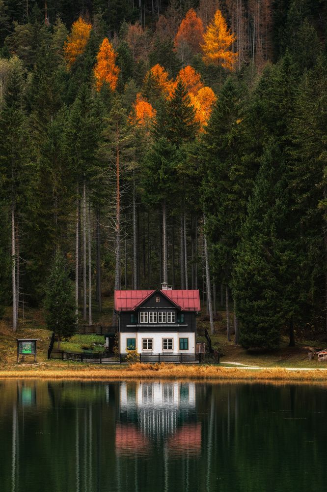 Photograph by Alain Veldin