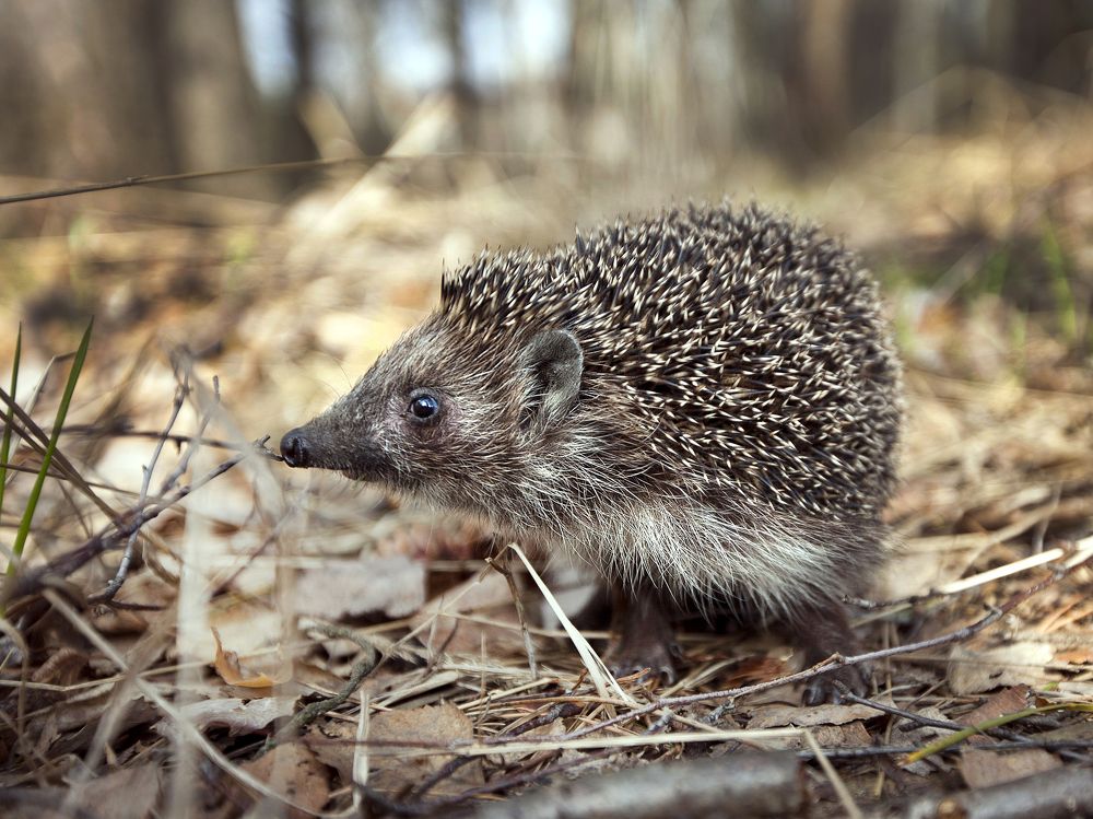 Photograph by Мария Кольцова