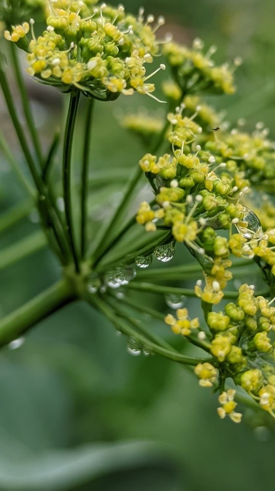 Фотография автора Васильева Ирина