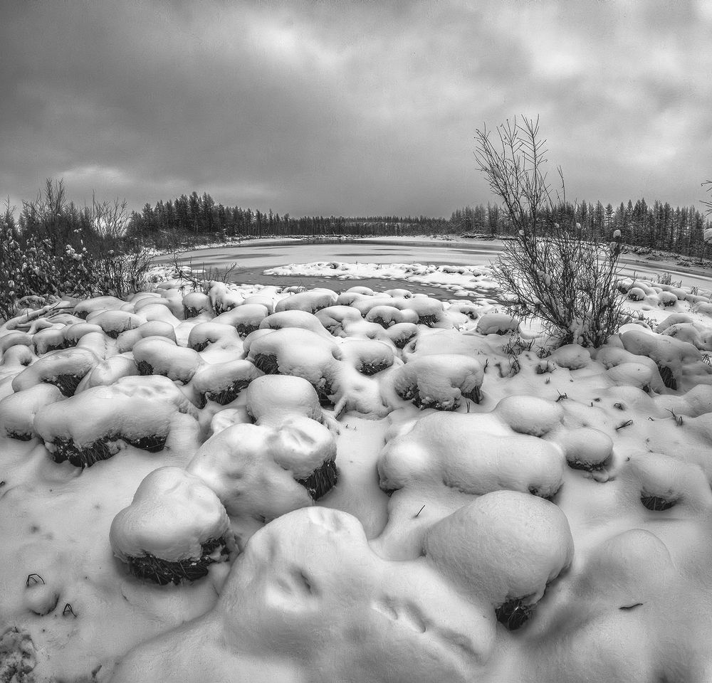 Photograph by Андреев Николай