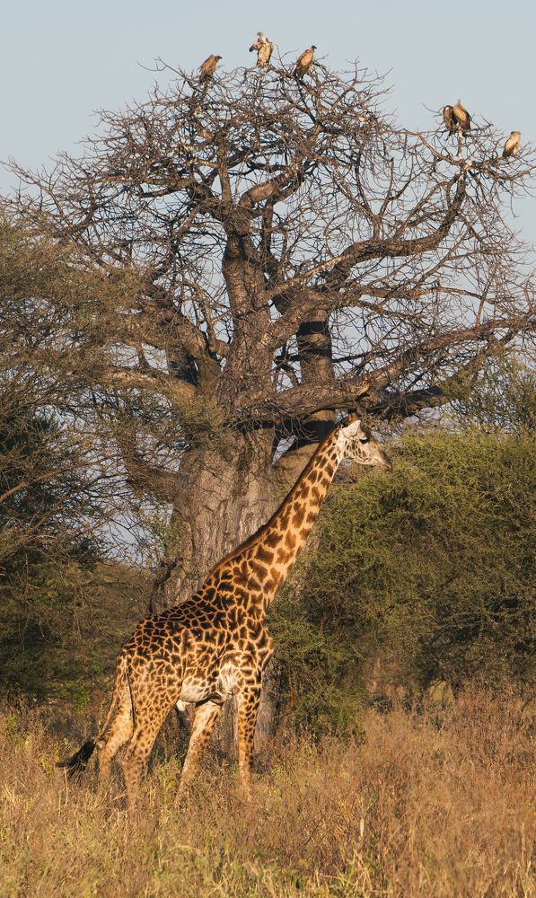 Фотография автора Оксана