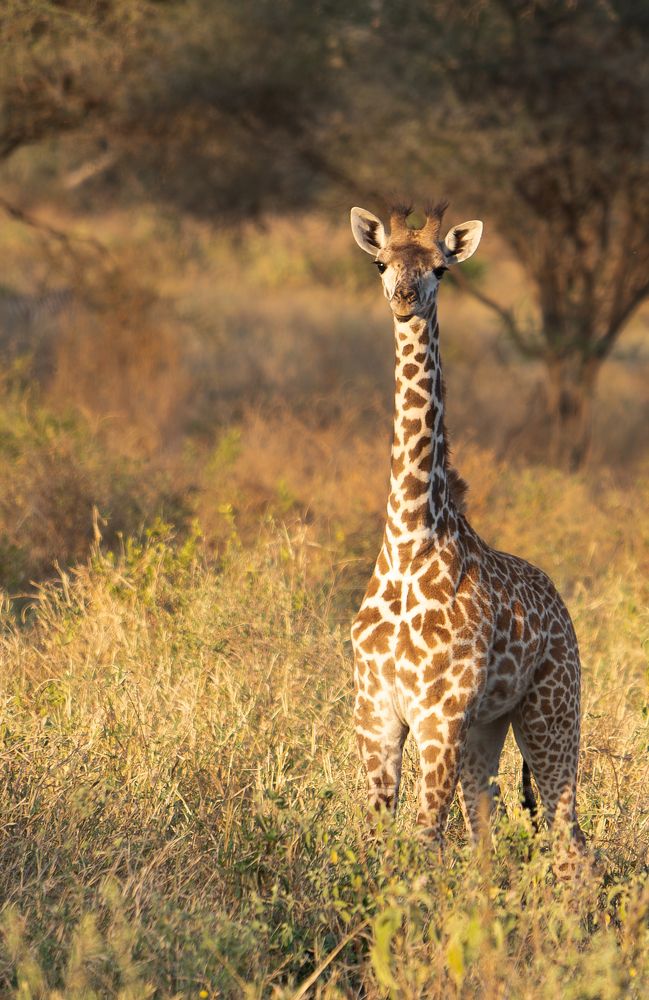 Фотография автора Оксана