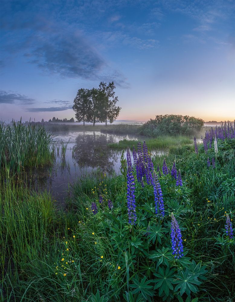 Photograph by Андреев Николай