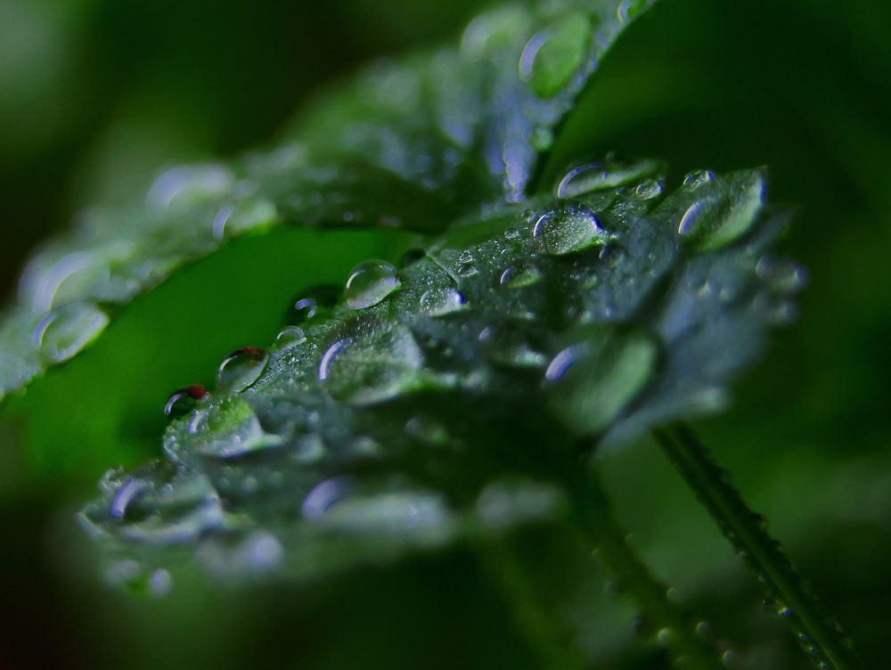 Photograph by Серёга Ануфриев