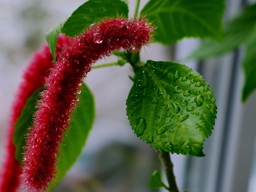 Photograph by Серёга Ануфриев