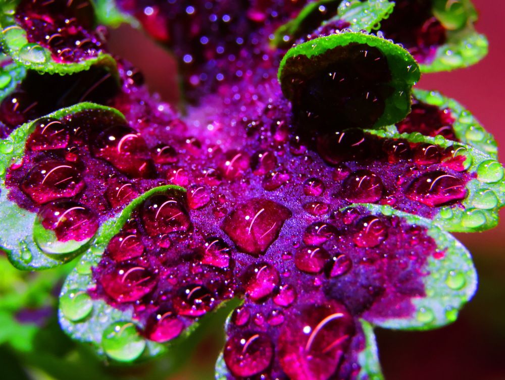 Photograph by Серёга Ануфриев