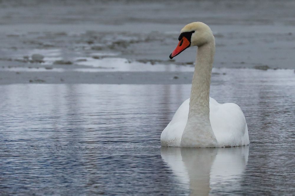 Photograph by Сергей Игнатьев