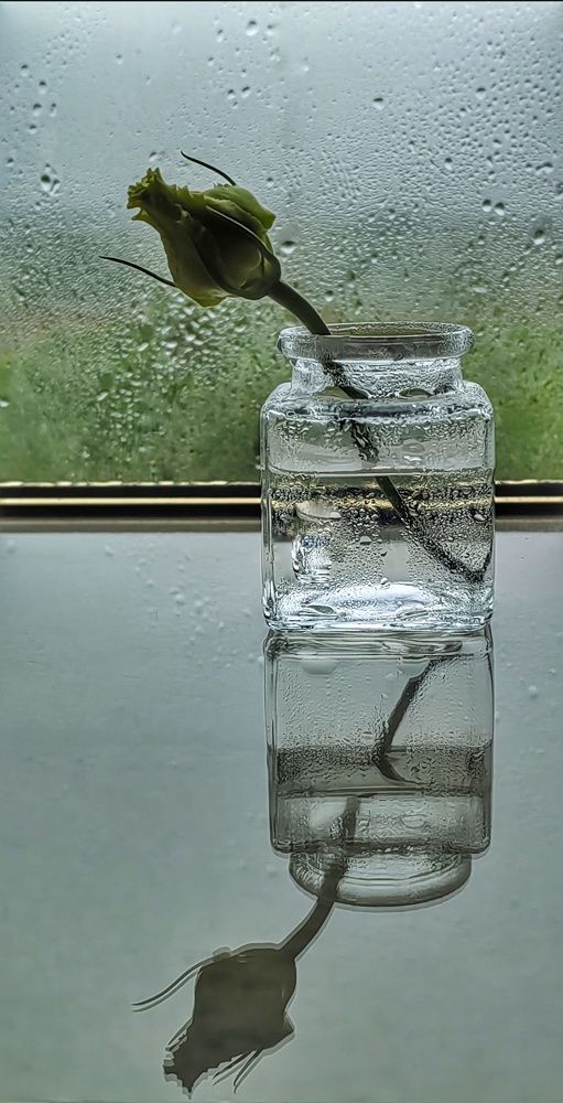 Фотография автора НАТАЛЬЯ СЕВЕР