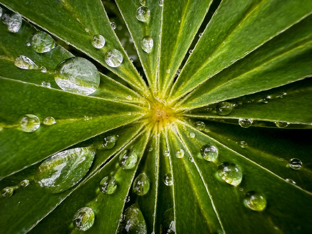 Photograph by Tanzilya Gabidullina