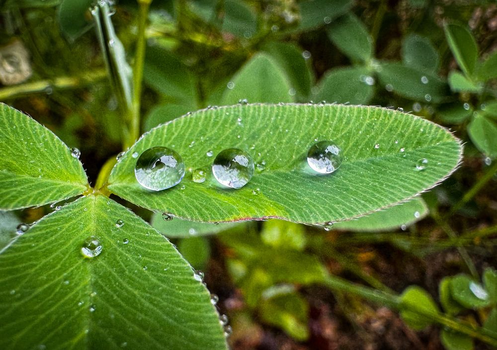 Photograph by Tanzilya Gabidullina