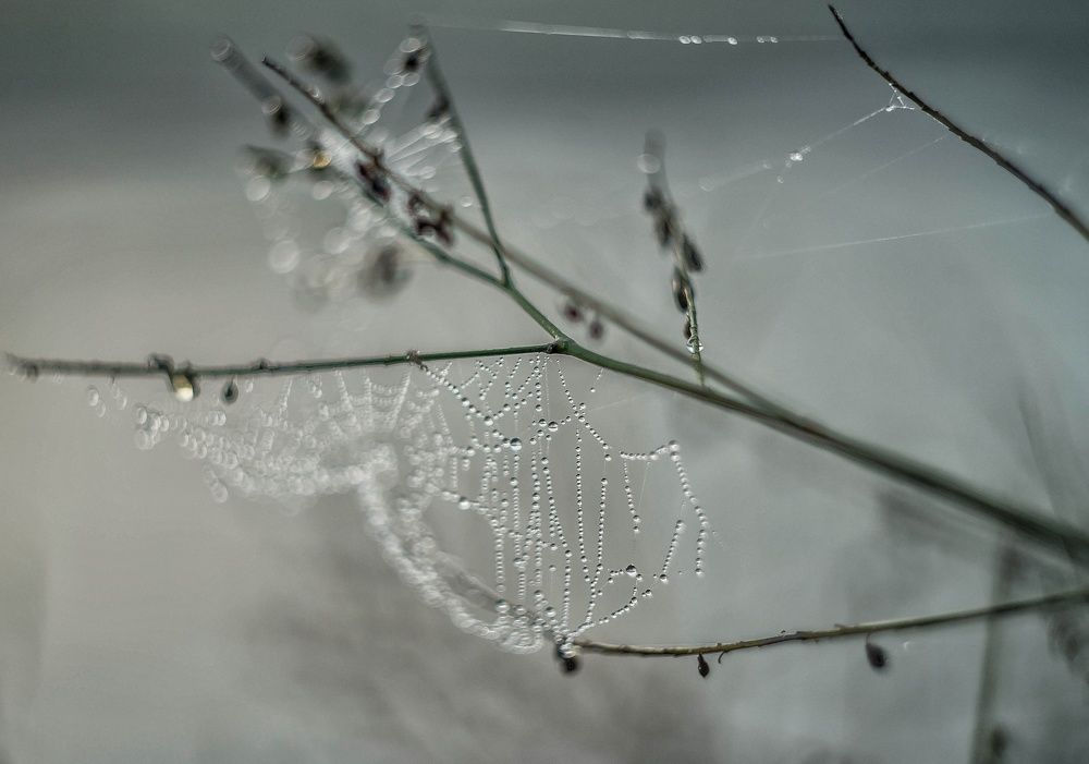 Photograph by Наталья Лещинская