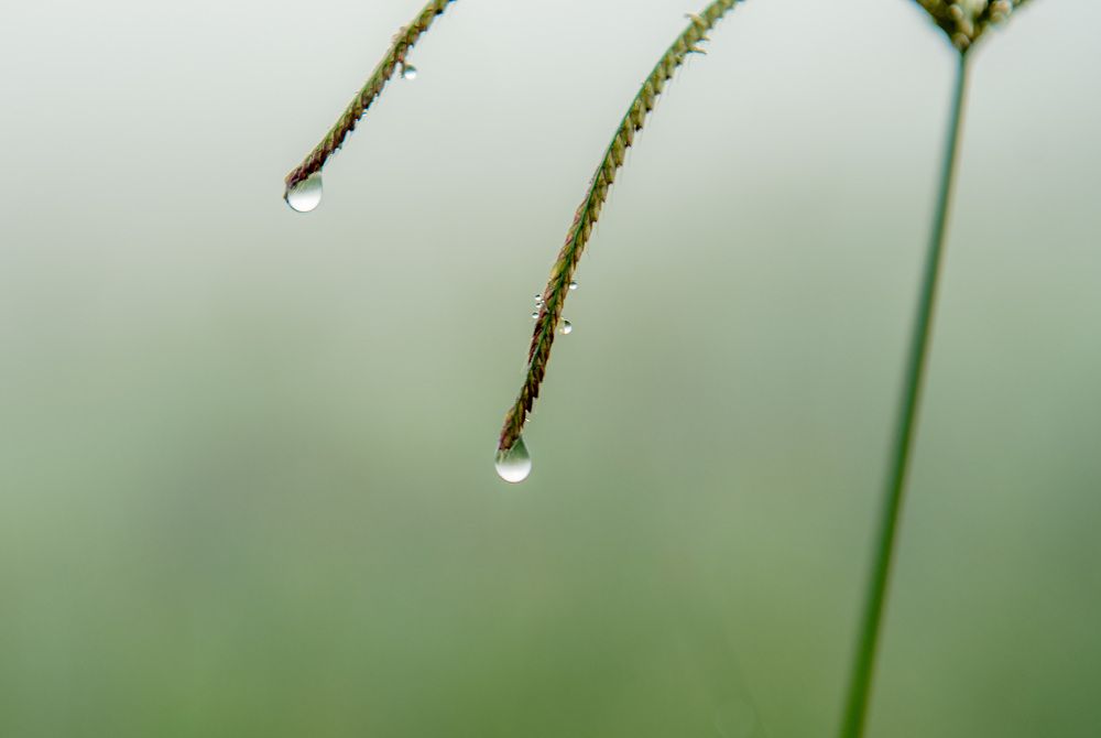 Фотография автора Sajeev Krishnan