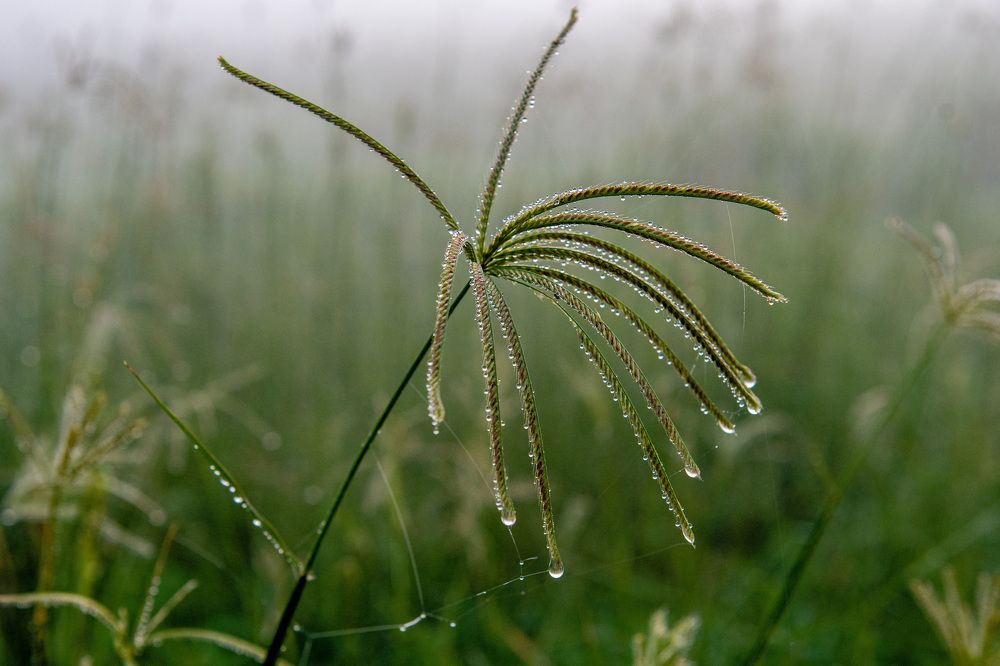 Фотография автора Sajeev Krishnan