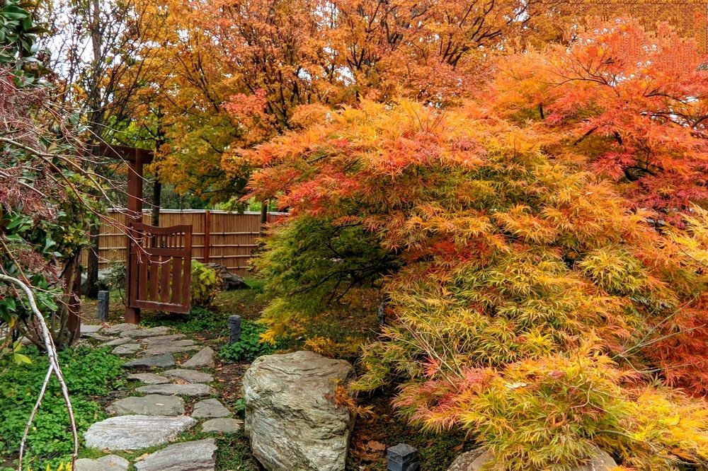 Фотография автора Андрей Павловский