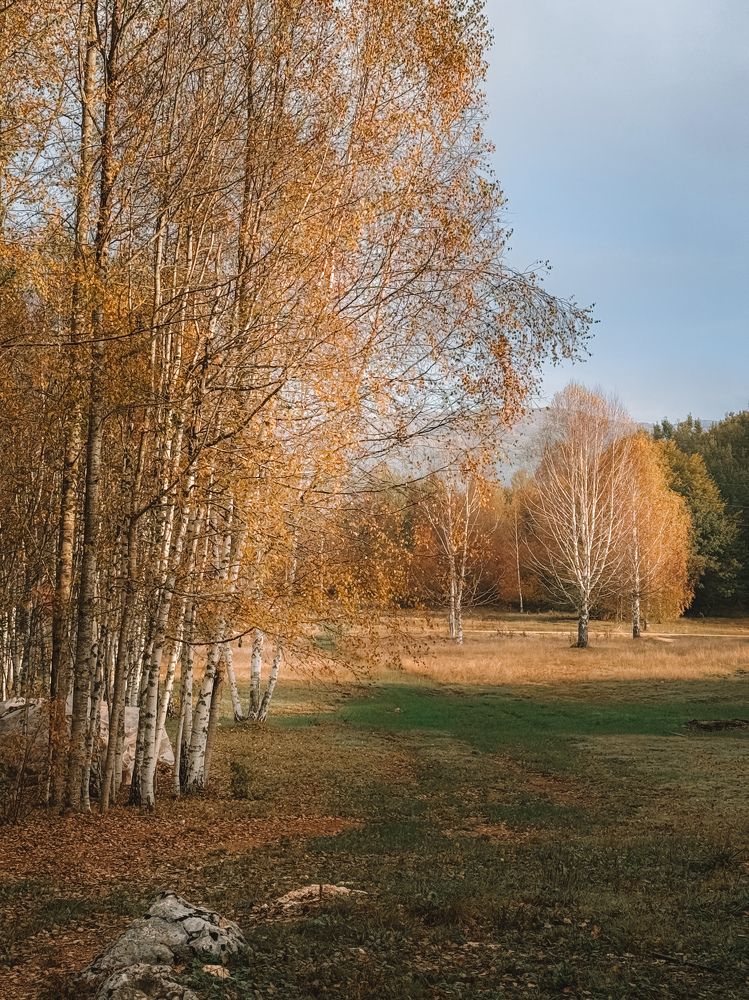 Photograph by Uliana Volegova