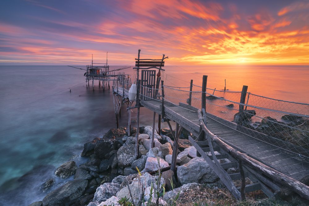 BLUE BLOOD - Trabocco Turchino