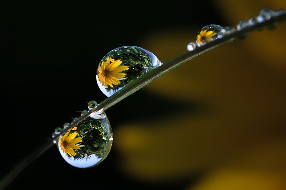 Photograph by Dhananjay Thakur