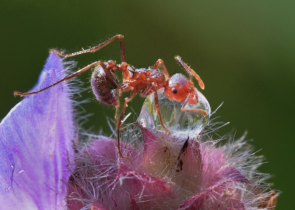 Photograph by Dhananjay J Thakur