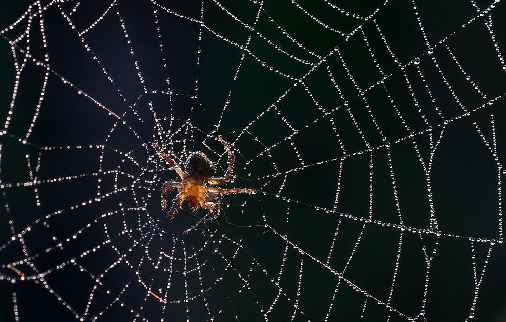 Photograph by Dhananjay J Thakur