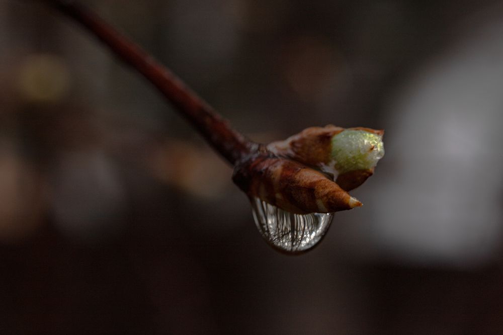 Фотография автора Ирина Гриценко