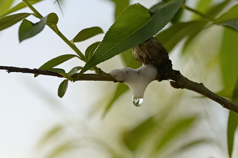 Photograph by Наталья Струц