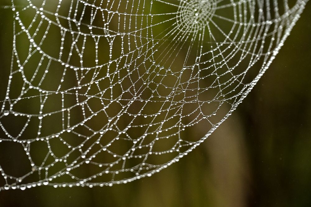 Photograph by Наталья Струц