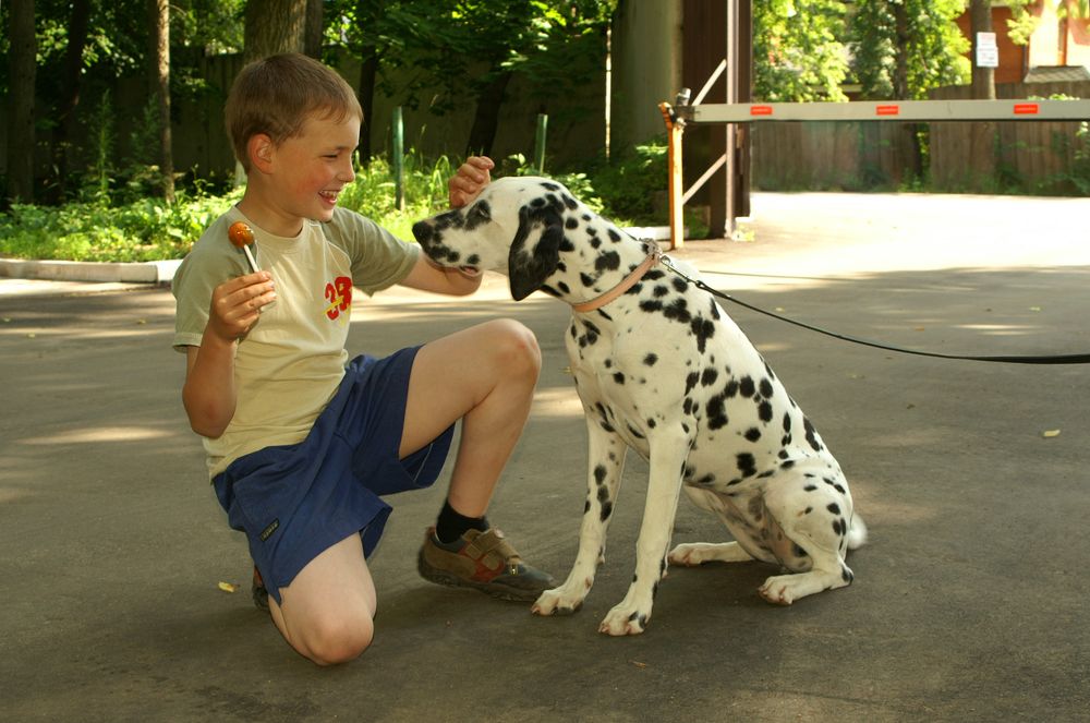 Photograph by Ольга Заповедная