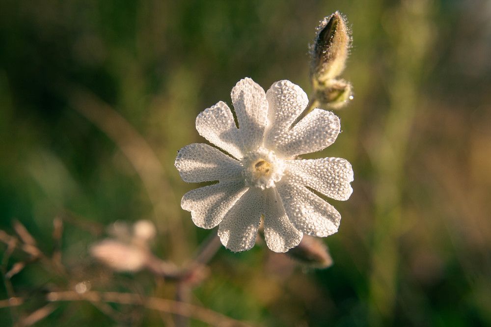 Фотография автора Ирина Гриценко