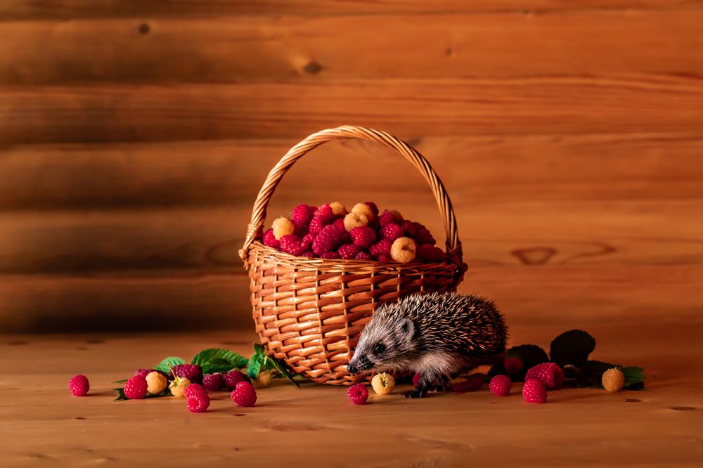 Photograph by Алёна Газукина