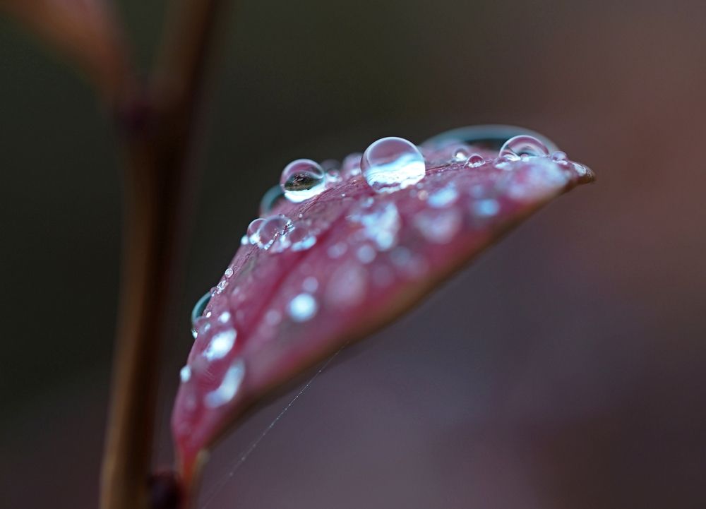 Photograph by Евгений Яковлев