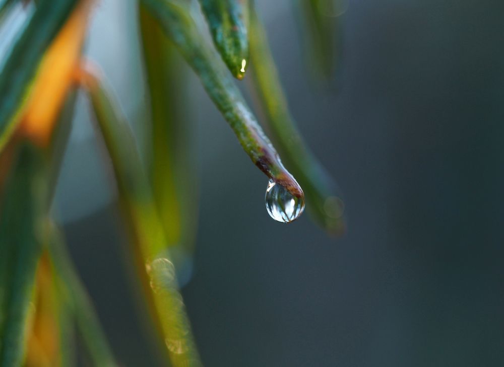 Photograph by Евгений Яковлев