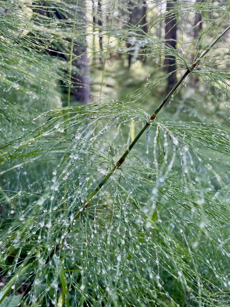 Photograph by Татьяна Смирнова